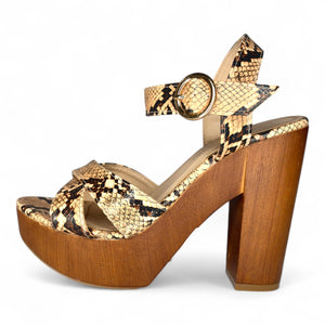 Snake camel 081810