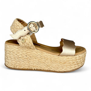 Ana silken azteca 11802