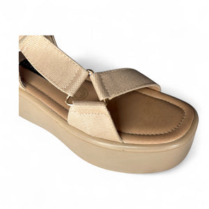 Dory tivo camel 2573727