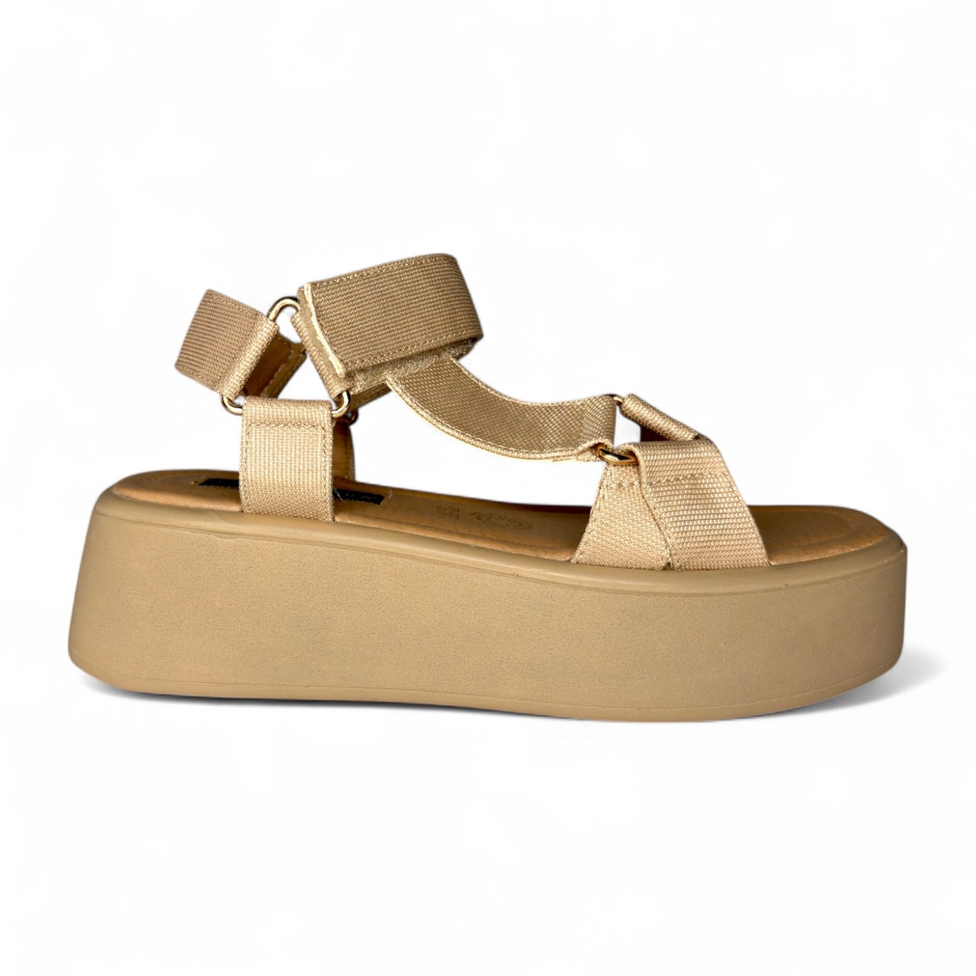 Dory tivo camel 2573727