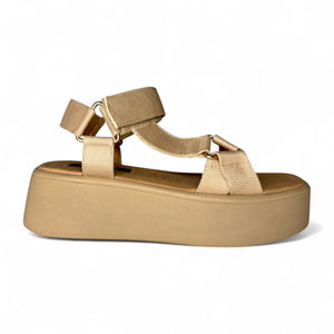 Dory tivo camel 2573727