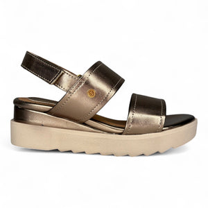 Carolina seda 8658