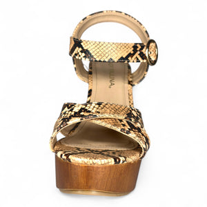 Snake camel 081810