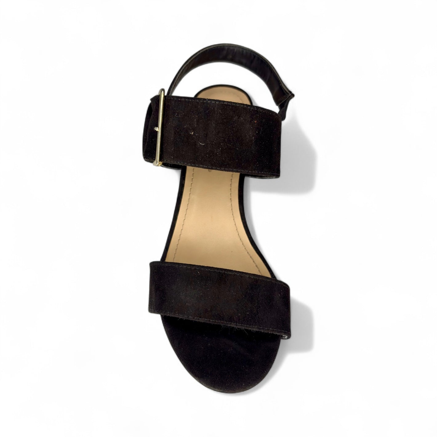 Negro ante 021203
