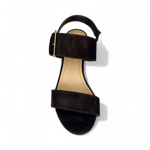 Negro ante 021203